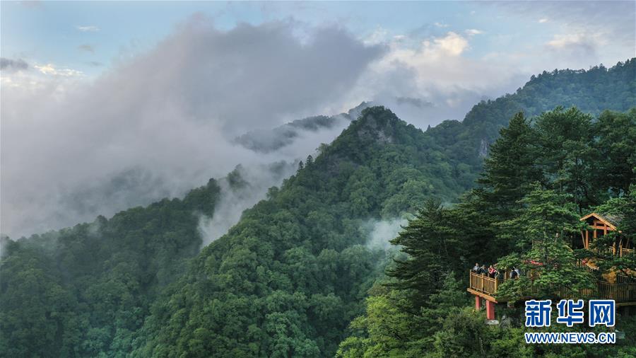 （美麗中國(guó)）（1）陜西略陽(yáng)雨后初霽 森林公園美若仙境