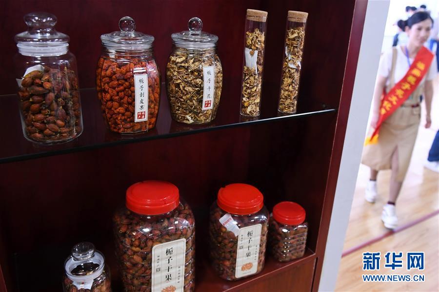 （經濟）（1）福建福鼎：梔子產業助農增收