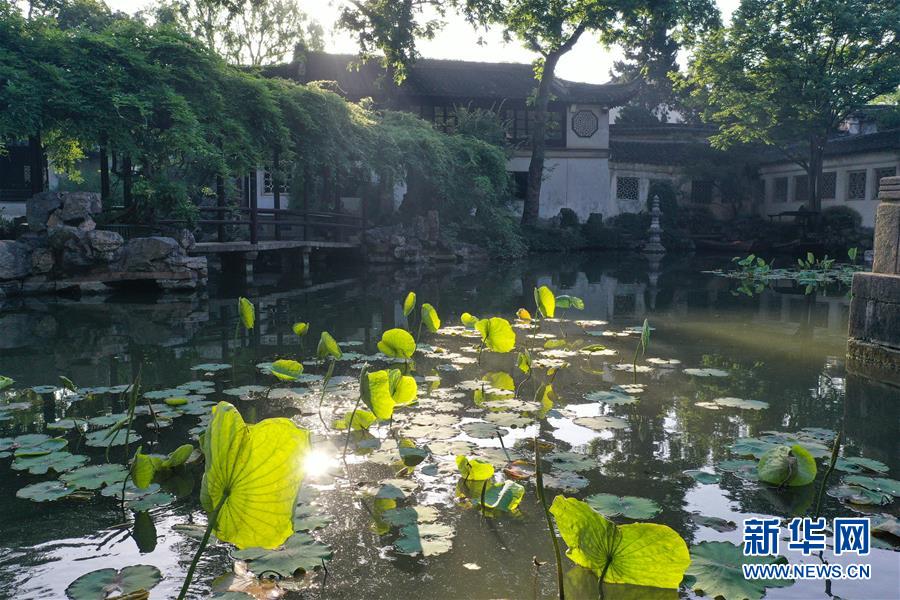 （北京世園會）（15）生態中國·靈秀姑蘇醉江南