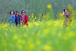 （生態）（1）遼寧沈陽：油菜花開美如畫
