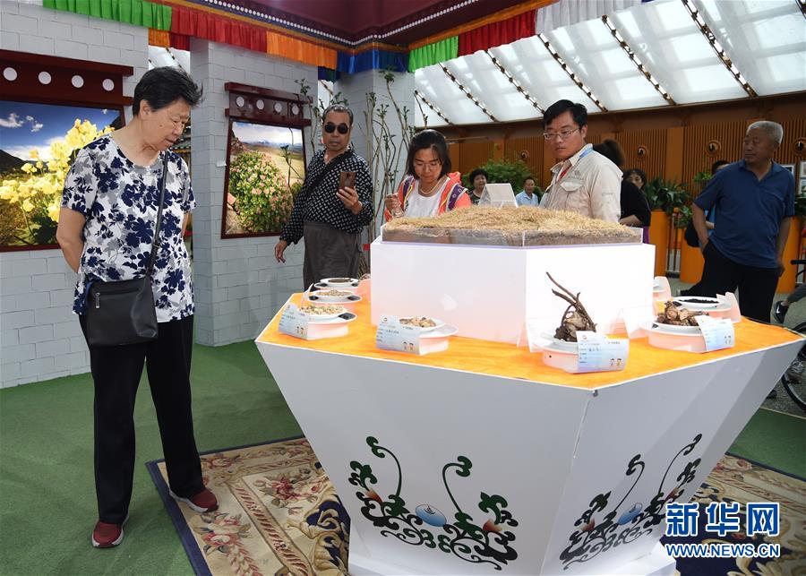（北京世園會）（5）北京世園會舉辦“中國國家館日”活動