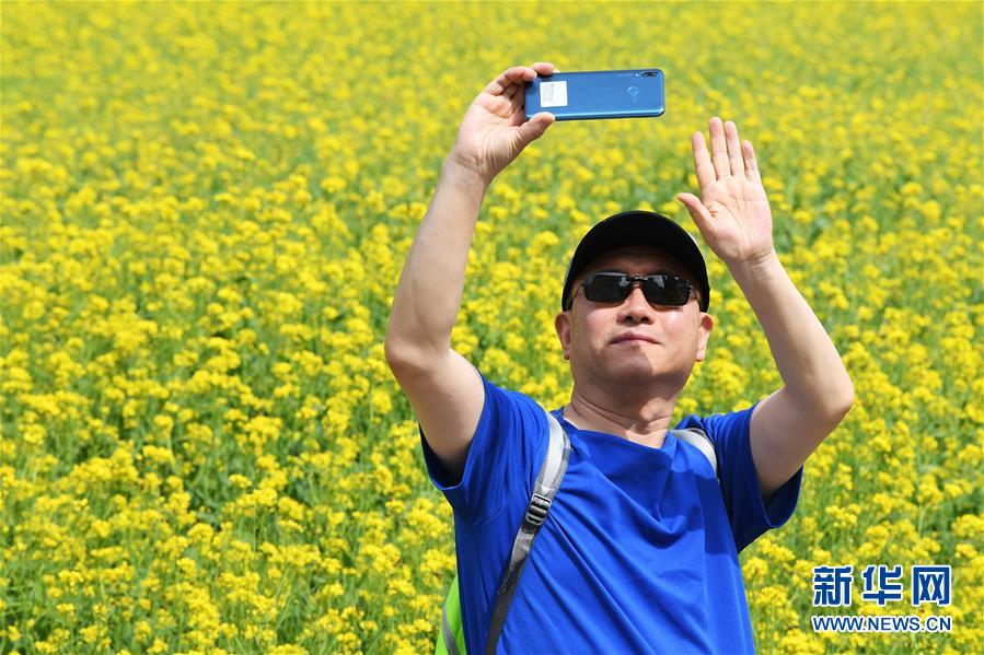 （社會）（4）山西太原：油菜花開引游人