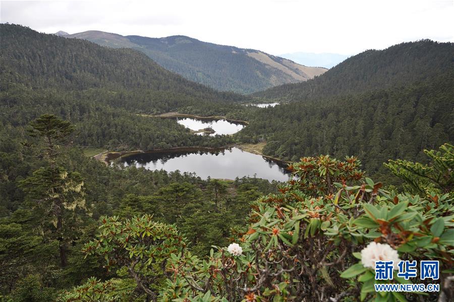 （環境）（1）世界自然遺產 壯美老君山