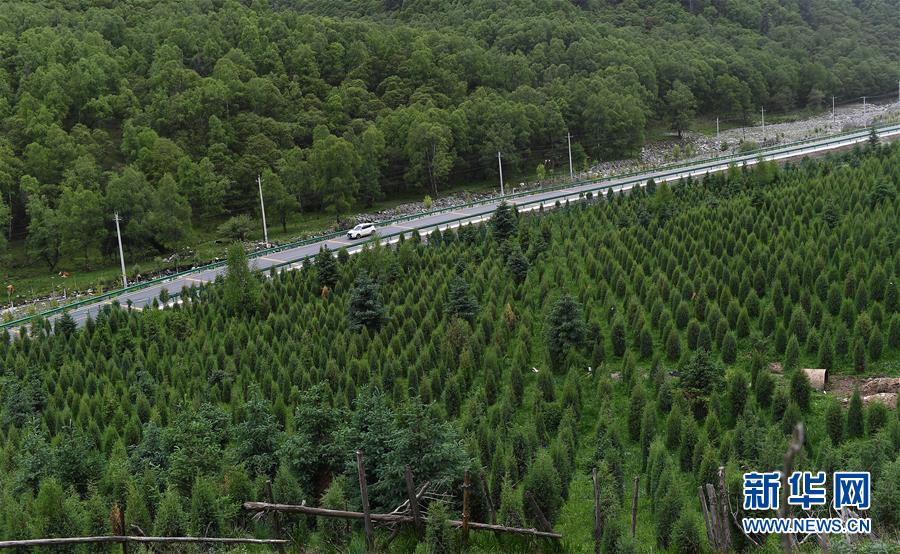 (社會)(6)青海扎隆溝至碾伯鎮公路通車