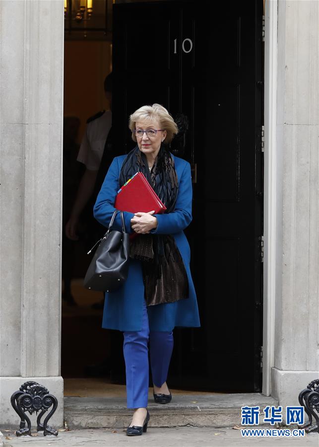 (國際)(11)英國執政黨保守黨黨首競選候選人出爐