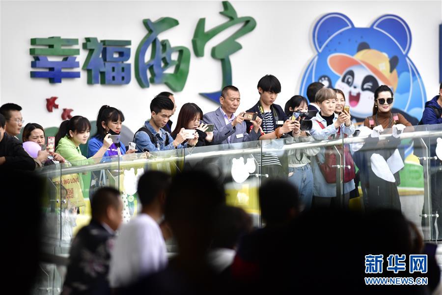 （社會）（1）高原西寧首家熊貓館對外開放 