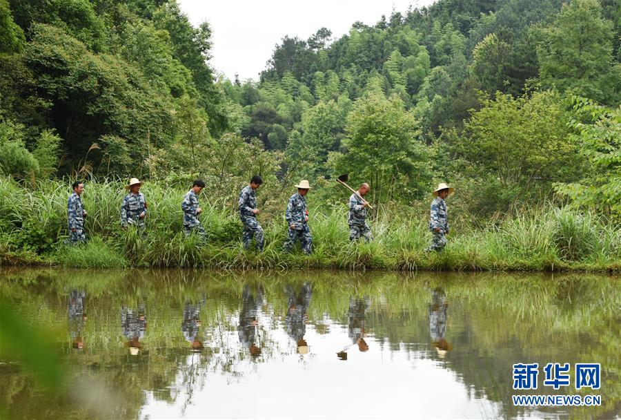 （圖片故事）（1）一片林·一群人·40年守護