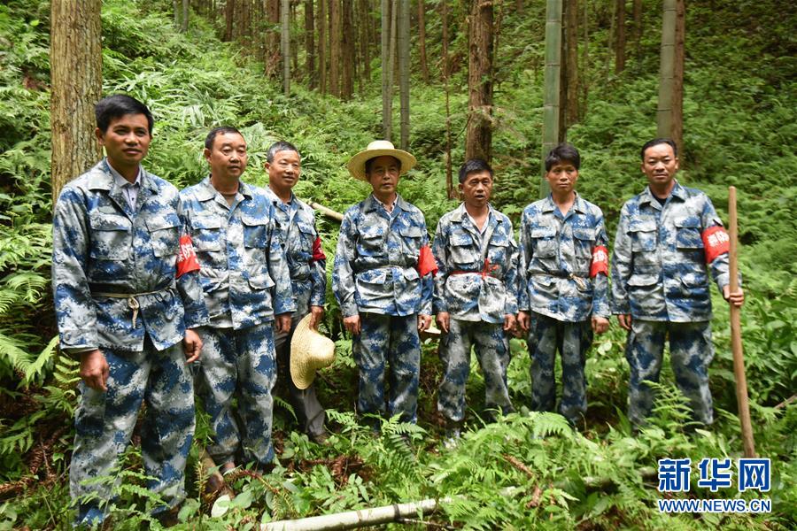 （圖片故事）（6）一片林·一群人·40年守護