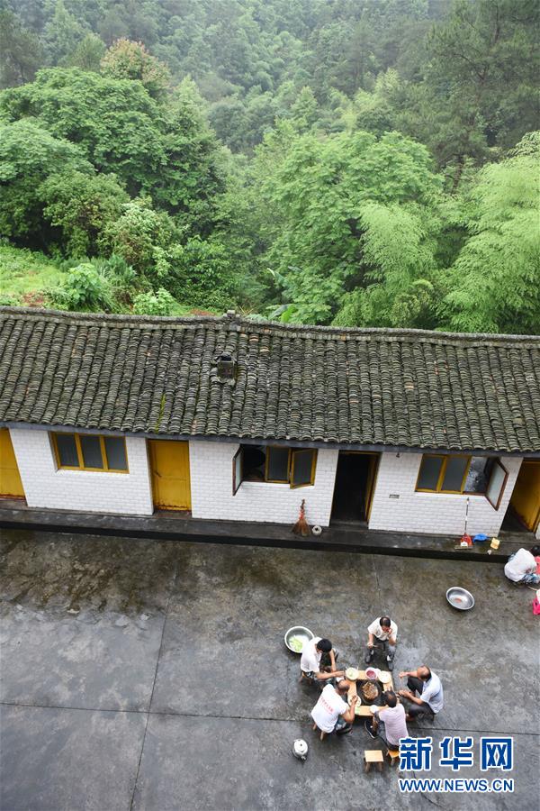 （圖片故事）（9）一片林·一群人·40年守護