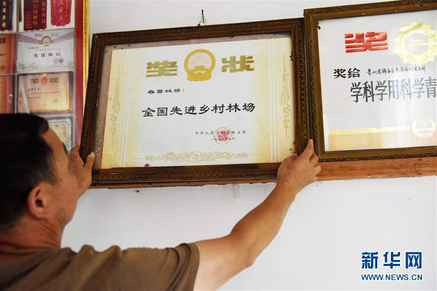 （圖片故事）（10）一片林·一群人·40年守護