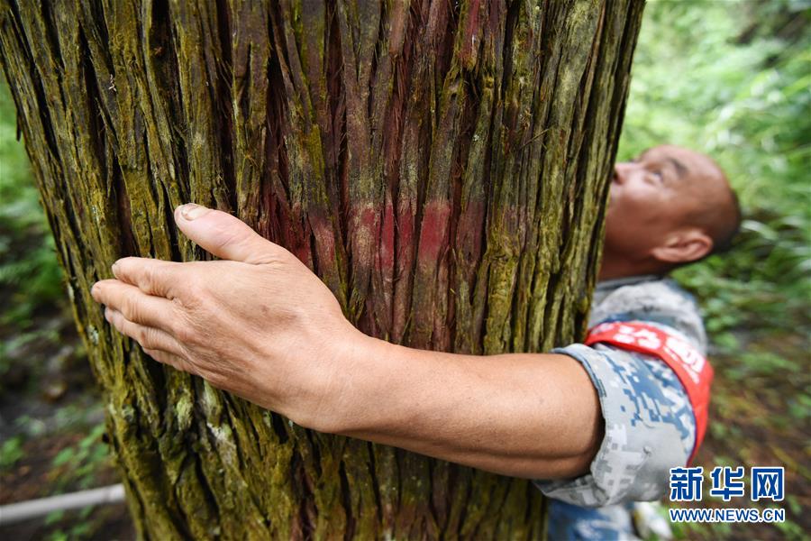 （圖片故事）（11）一片林·一群人·40年守護
