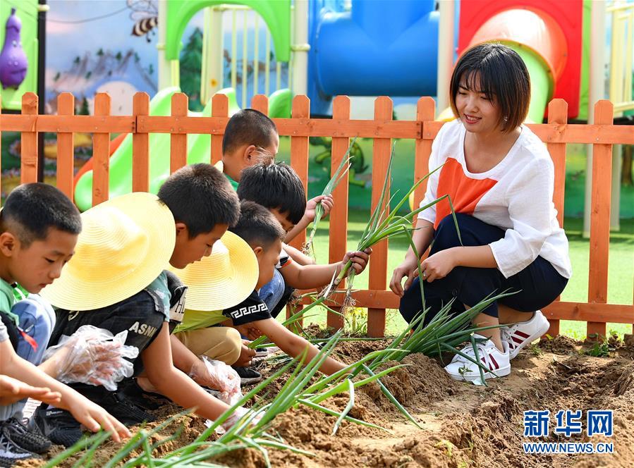 （教育）（1）河北樂亭：農(nóng)耕教育進校園