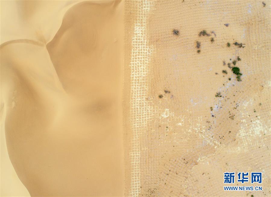 （環(huán)境）（6）寧夏中衛(wèi)：草方格扎出的沙漠綠意