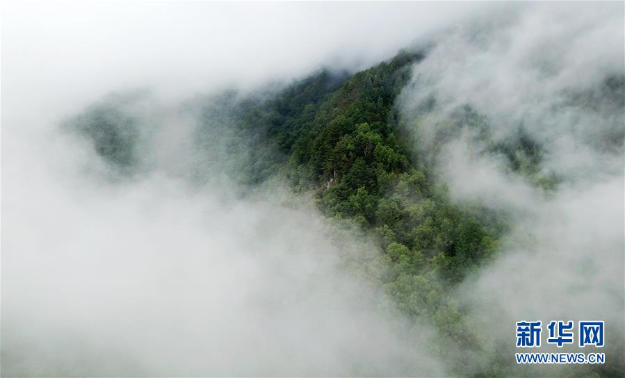 (美麗中國)(2)霧漫官鵝溝