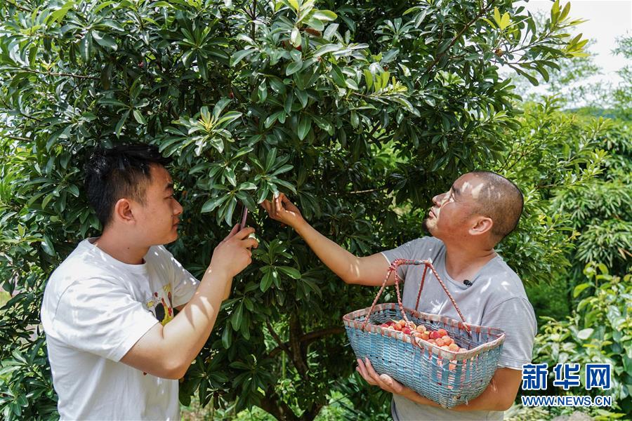 (圖片故事)(5)農民蔣金春:讓山外的人走進來,讓山里的貨走出去