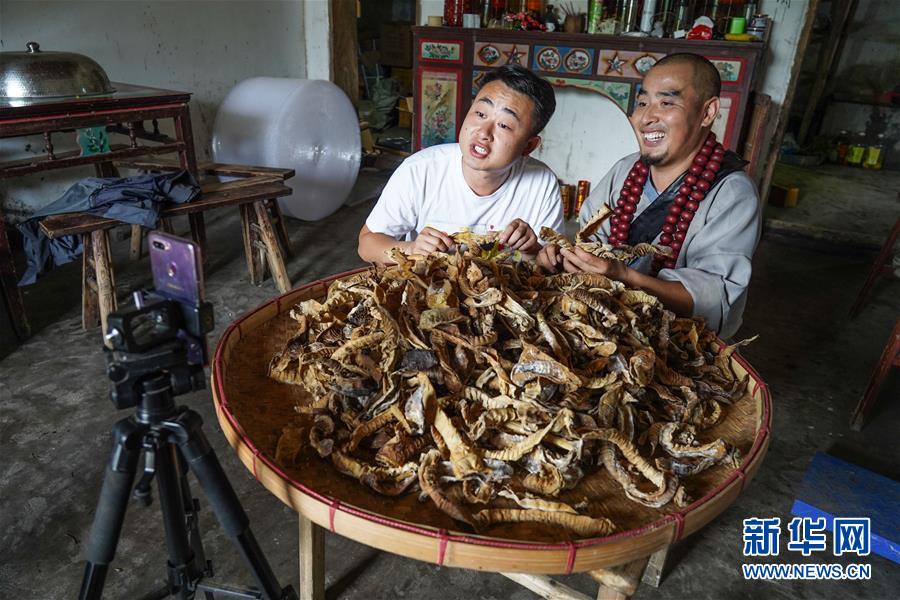(圖片故事)(6)農民蔣金春:讓山外的人走進來,讓山里的貨走出去