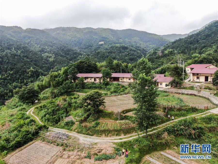 (圖片故事)(9)農民蔣金春:讓山外的人走進來,讓山里的貨走出去