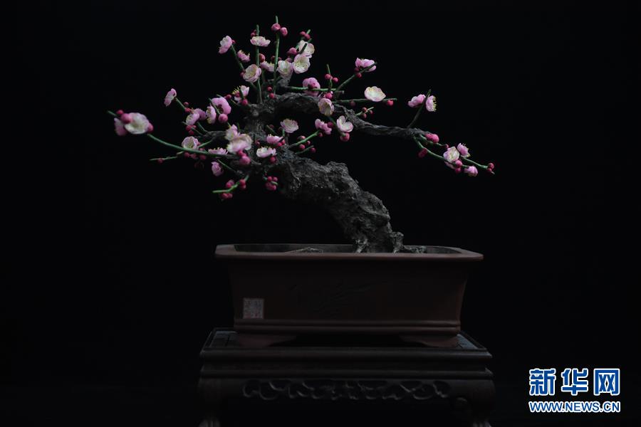 (文化)(7)“希望更多的人愛上通草花”