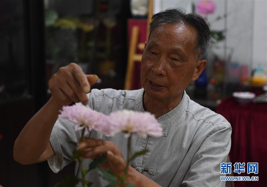 (文化)(8)“希望更多的人愛上通草花”