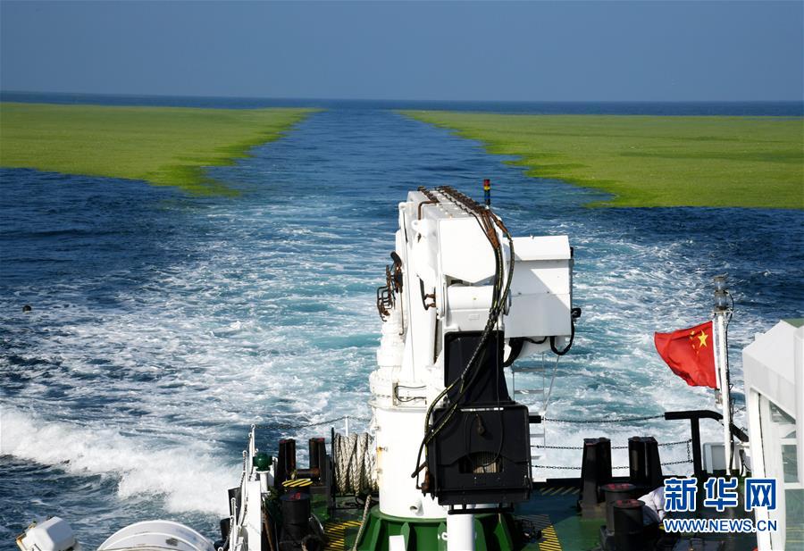 （環境）（3）黃海海域滸苔分布面積超過5萬平方公里