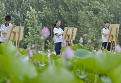 （社會(huì)）（1）河北威縣：夏荷飄香入畫(huà)來(lái)