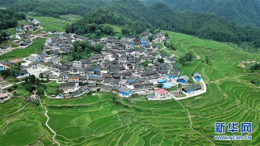 （環境）（2）仲夏梯田景如畫