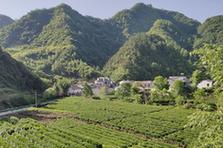 （圖文互動(dòng)）（1）漢江畔崛起生態(tài)城——來自南水北調(diào)中線核心水源地的調(diào)查報(bào)告