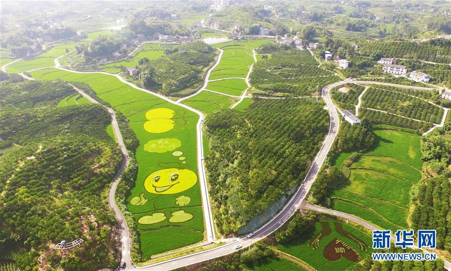 (美麗中國)(2)重慶忠縣:彩色稻田扮靚美麗鄉村