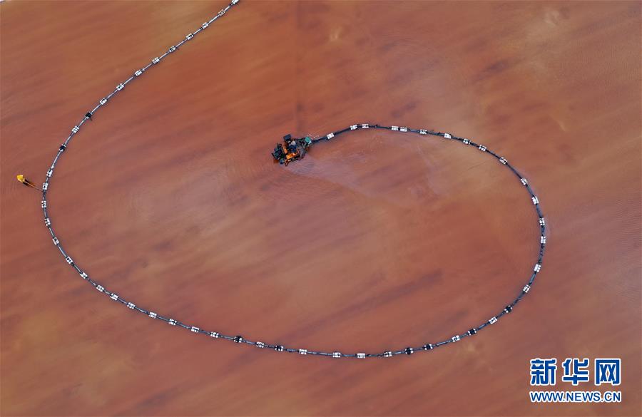 （社會(huì)）（1）收獲海鹽 