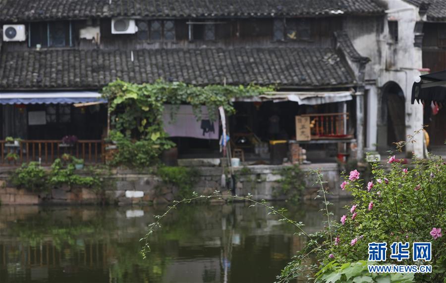 （社會(huì)）（4）浙江德清：新市古鎮(zhèn)掠影