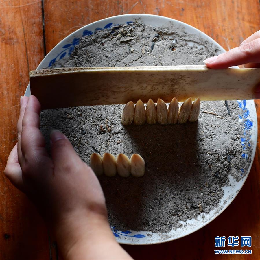 （文化）（6）劉騰龍毛筆：匠心傳藝 妙筆生花
