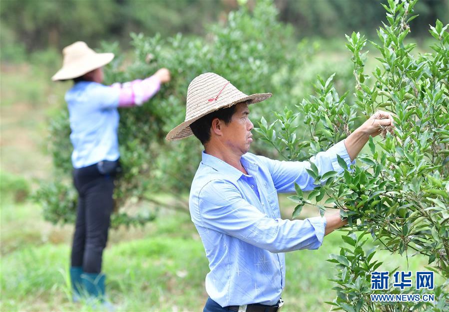 (社會)(3)廣西融安:自救重建忙