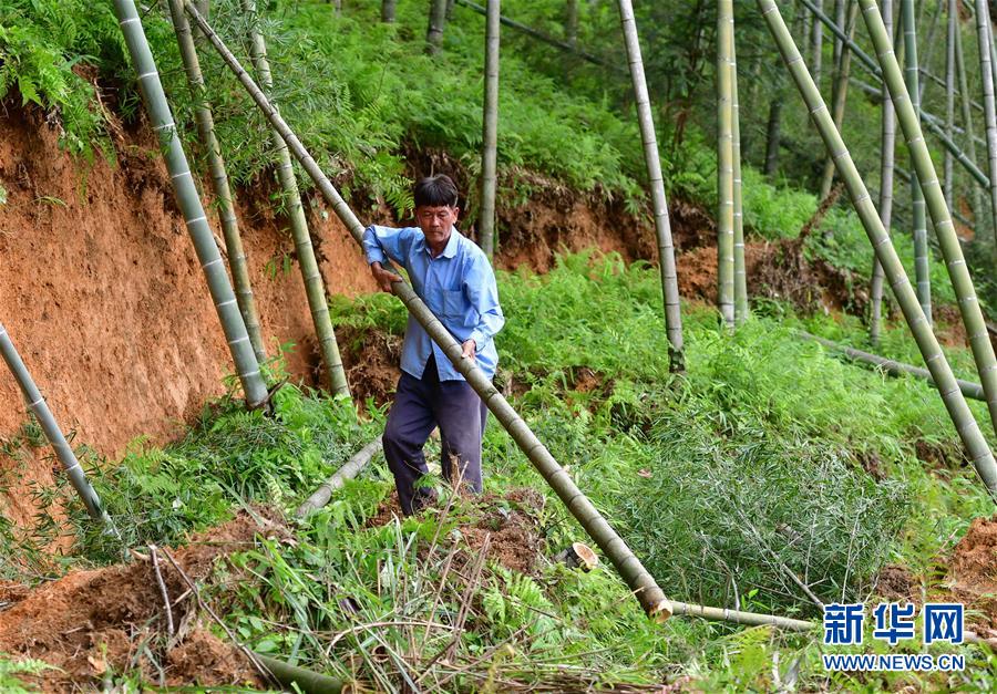(社會)(4)廣西融安:自救重建忙