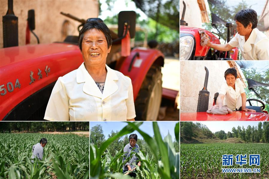 （圖片故事）（11）我，今年70歲——綻放在山間地頭的笑容