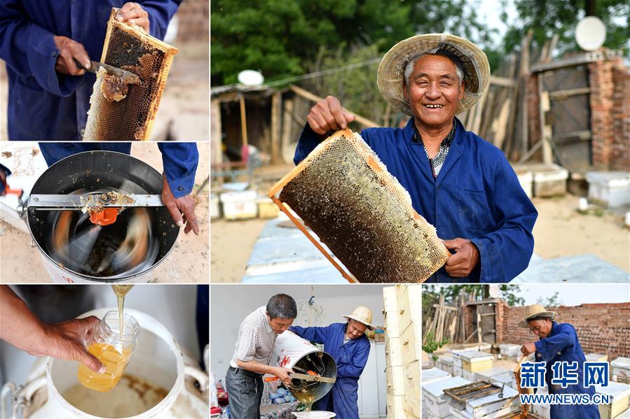 （圖片故事）（16）我，今年70歲——綻放在山間地頭的笑容
