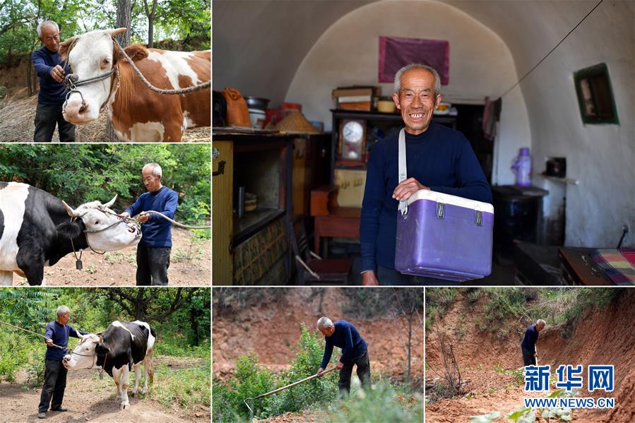 （圖片故事）（18）我，今年70歲——綻放在山間地頭的笑容