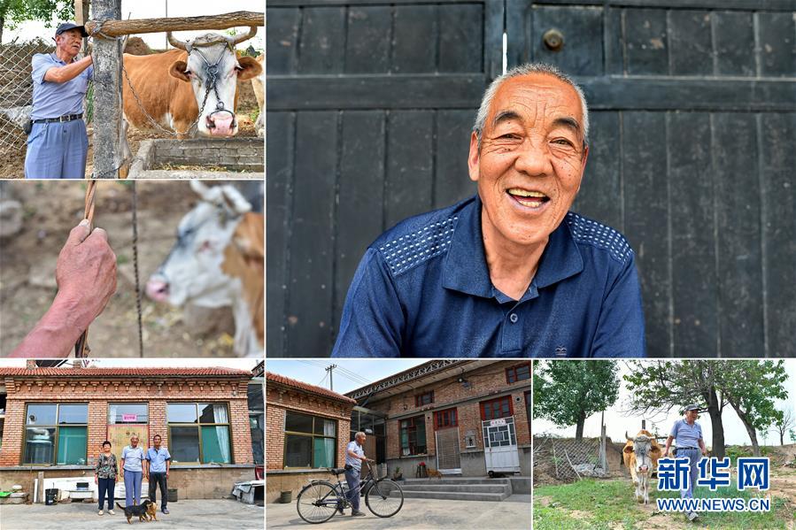 （圖片故事）（19）我，今年70歲——綻放在山間地頭的笑容