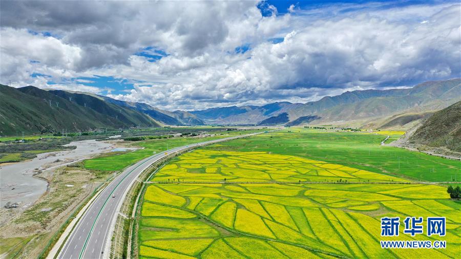 （環境）（2）西藏：拉林公路夏日美