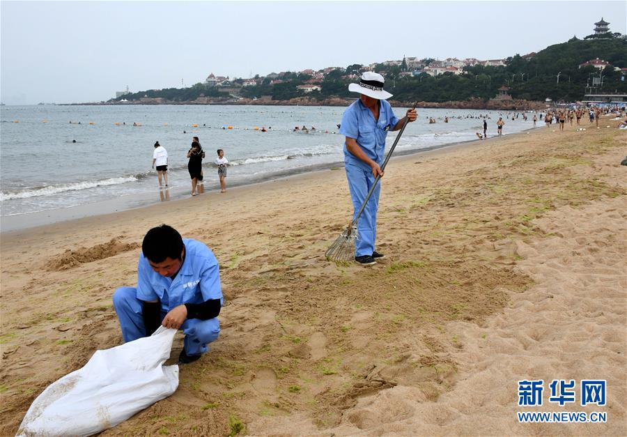 （社會(huì)）（3）青島：清理海灘迎客來(lái)
