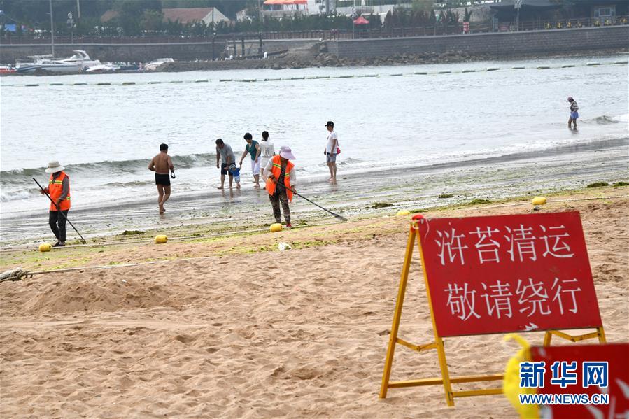 （社會(huì)）（4）青島：清理海灘迎客來(lái)