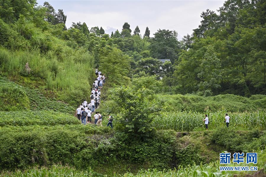 （壯麗70年·奮斗新時代——記者再走長征路·圖文互動）（9）紅軍洞 紅軍路 紅巖村——永不止息的長征精神