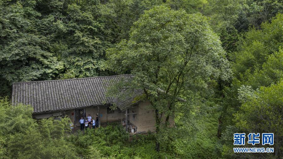 (壯麗70年·奮斗新時(shí)代)(2)五代人不忘初心 七十載深耕林海