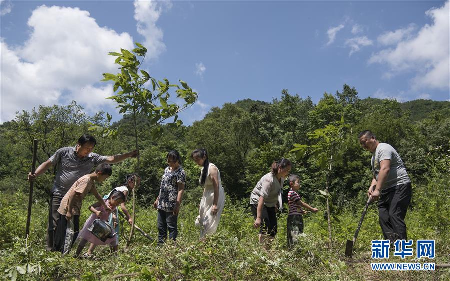 (壯麗70年·奮斗新時(shí)代)(10)五代人不忘初心 七十載深耕林海