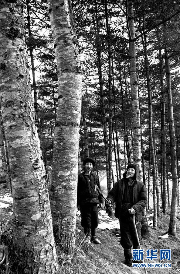 (壯麗70年·奮斗新時(shí)代)(11)五代人不忘初心 七十載深耕林海