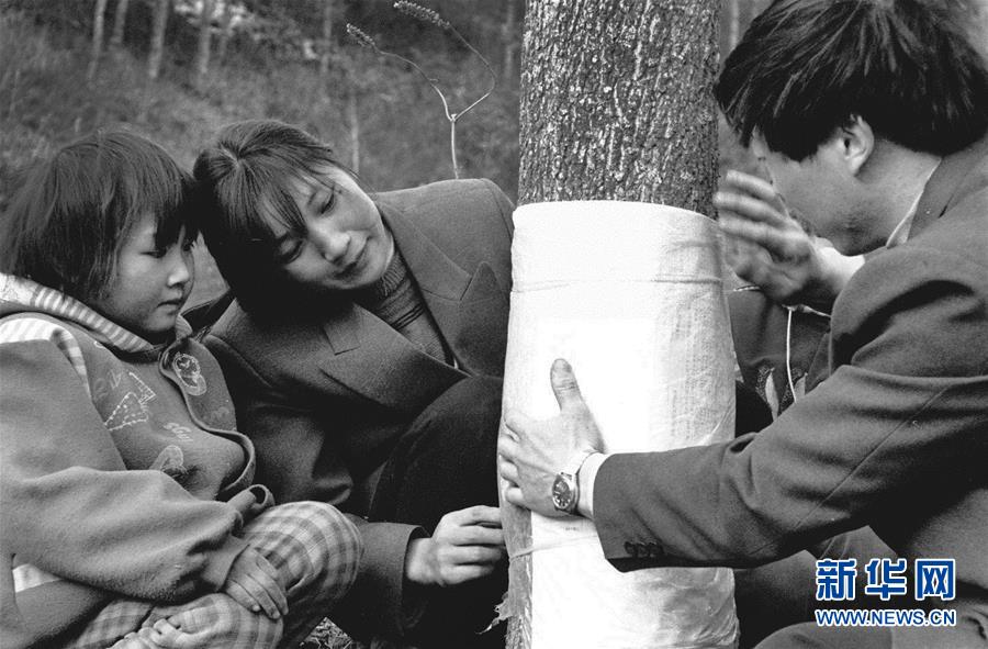 (壯麗70年·奮斗新時(shí)代)(13)五代人不忘初心 七十載深耕林海