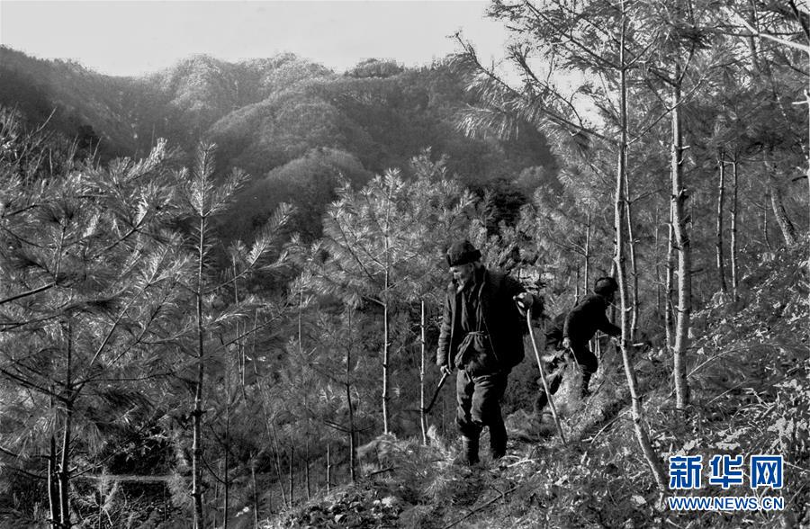 (壯麗70年·奮斗新時(shí)代)(14)五代人不忘初心 七十載深耕林海