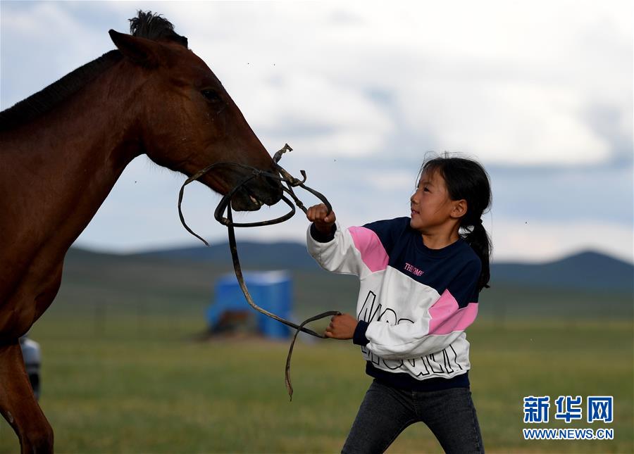 （圖片故事）（2） 少女騎手馬背上“飛馳”的夏天