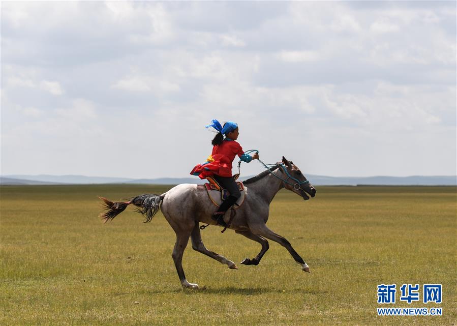（圖片故事）（5） 少女騎手馬背上“飛馳”的夏天