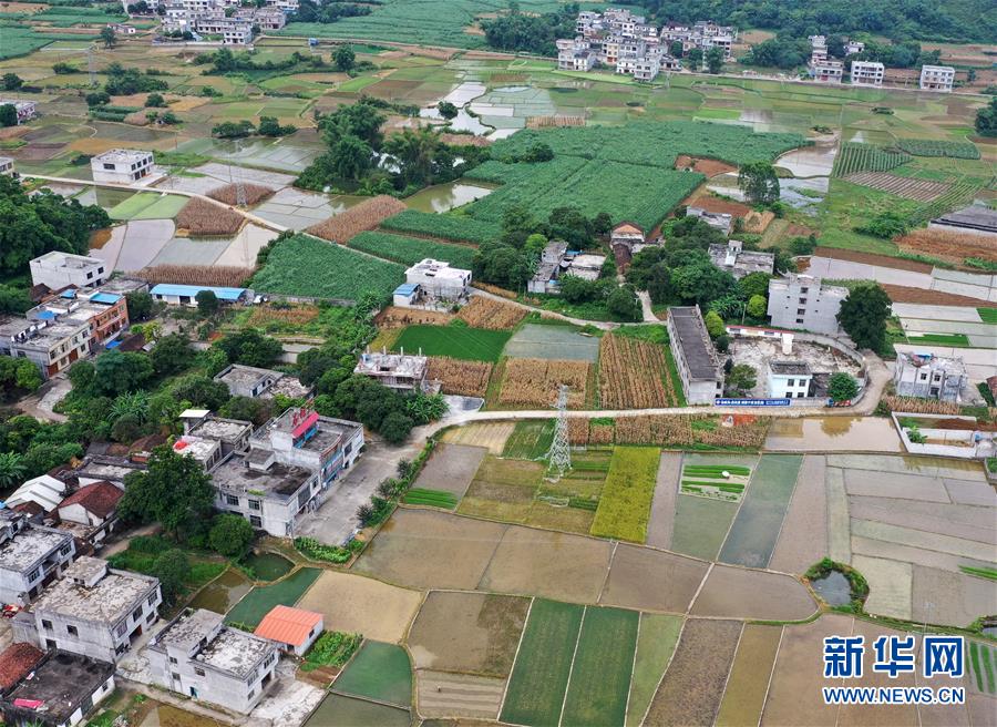 （環(huán)境）（1）暑日田園美