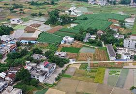 （環(huán)境）（1）暑日田園美